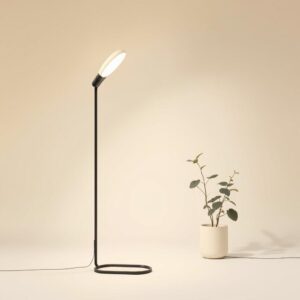 Fungivio Floor Lamp (Small)